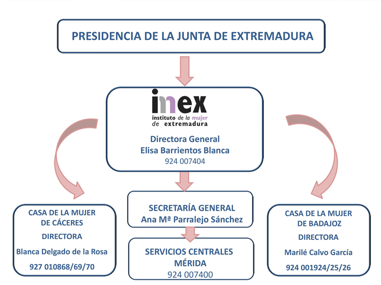 Organigrama IMEX